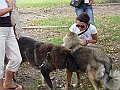 img 037